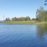 Малинське водосховище у Житомирській області