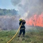 На Житомирщині через підпали сухостою вогонь ледь не дістався до села