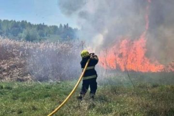 На Житомирщині через підпали сухостою вогонь ледь не дістався до села