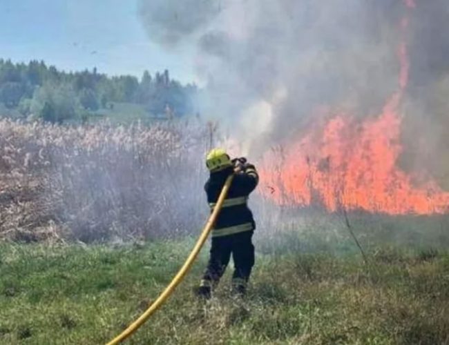 На Житомирщині через підпали сухостою вогонь ледь не дістався до села