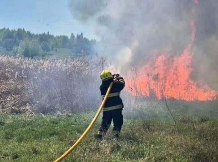 На Житомирщині через підпали сухостою вогонь ледь не дістався до села