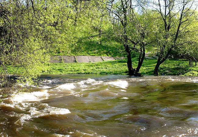 Річка Кам’янка