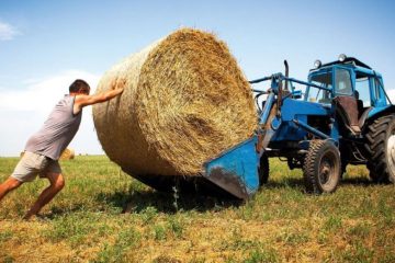 День фермера в Україні