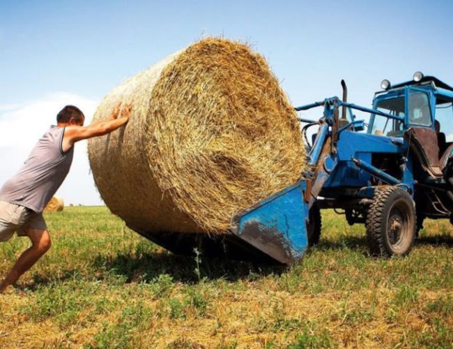 День фермера в Україні