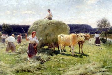 День працівників сільського господарства в Україні