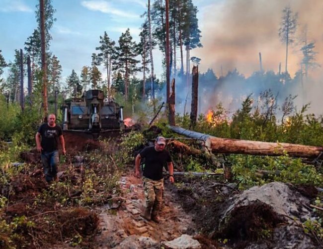 На Житомирщині другу добу гасять лісову пожежу площею 4,5 гектара