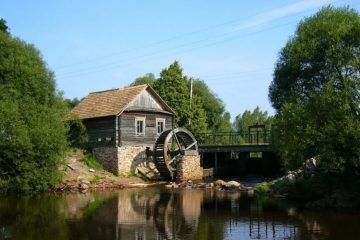 Поліський природний заповідник у Житомирській області