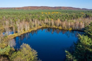 Природні заповідники України