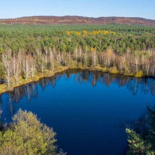 Природні заповідники України